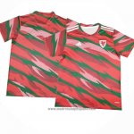 Camiseta Pre Partido del Gales 2024 Rojo