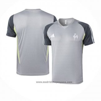 Camiseta de Entrenamiento Atletico Mineiro 2024-2025 Gris