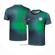 Camiseta de Entrenamiento Nigeria 2024-2025 Gris Verde