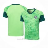 Camiseta de Entrenamiento Palmeiras 2024-2025 Verde